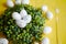 Green decorative Easter quail eggs wreath on yellow wooden table