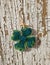 Green decorative four leaf clover on rusty peeling wood surface. Good luck, souvenir