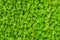 Green decorative moss texture. Wall from moss background