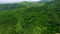 Green deep forest mountain hill