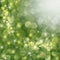 Green defocused holiday background