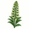 Green Delphinium flower vector