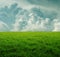 Green dense grass and beautiful storm clouds