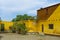 Green desert plants on a background of yellow walls and blue sky. Tabernas, Almeria, Andalusia, Spain