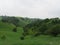 Green desert with trees hiking paradise