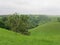 Green desert with trees hiking paradise