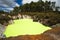 Green Devil`s Bath Pool at Wai-O-Tapu Geothermal Area near Rotorua, New Zealand