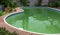 Green dirty pool algae water in a suburban backyard