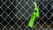 Green dog excrement bags hang on a mesh fence. Cleaning up pets poo in the garden or street with dog poop bags  is an eco-friendly
