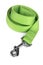 Green Dog Leash Isolated on White