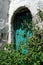 A green door behind green plants
