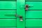 Green Door with Locks (2)