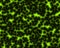 Green dots glow seamless mesh texture noise black background