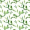 Green Draceana Sanderiana. Watercolor background illustration set. Seamless background pattern.