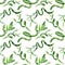 Green Draceana Sanderiana. Watercolor background illustration set. Seamless background pattern.