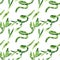 Green Draceana Sanderiana. Watercolor background illustration set. Seamless background pattern.