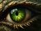 Green dragon eye. Green human eye of a wooden Dragon. Green eyes. Mythological creatures concept. Animal eye. Fantastic monster.