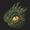 Green dragon eye sticker colorful