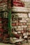 Green drainpipe at brick wall