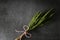 Green dried glass bouquet on cement background