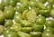 Green dried pea - Pisum sativum