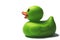 Green duck