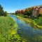 Green duckweed and other vegetation on the river that runs through the city