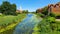 Green duckweed and other vegetation on the river that runs through the city