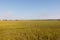 Green dune grass landscape and bridge