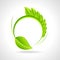 Green eco friendly icon with leaf on circle