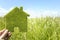 Green eco house environmental background