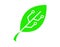 Green eco technology leaf logo