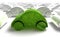 Green ecology car