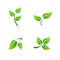Green ecology floral icons