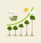 Green economy concept : Graph of growing sustainable environment