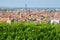 green edge texture - Bologna tour aerial view sightsee emilia romagna