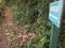 Green El Viento, the wind, cave sign with arrow in the Guajataca forest in Puerto Rico with lizard and trail