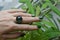 Green emerald Jewel gemstone ring on woman hand