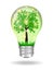 Green energy bulb isolated