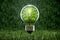 Green energy concept with glowing low lightbulb with tree sprout inside on a blurred trees background.Earth Day, renewable energy.