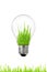 Green energy concept: light bulb with grass inside