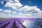 Green energy or renewables concept with purple lavender field wind turbines an solar panels on a hot summer day