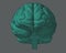 Green engraving brain in front view on gray BG