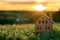 Green and environmentally friendly housing concept. Miniature wooden house in spring grass on a sunny day.