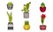 Green Exotic House Plants Growing in Ceramic Pots Vector Set