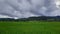 Green expanse of rice fields and Menoreh hills
