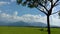 Green expanse of rice fields with rows of mountains in the distance under a beautiful sky