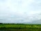 green expanse under a slightly cloudy sky