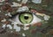 Green eye with camoflage pattern