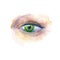 Green eye. Fashion,cosmetics and beauty image.